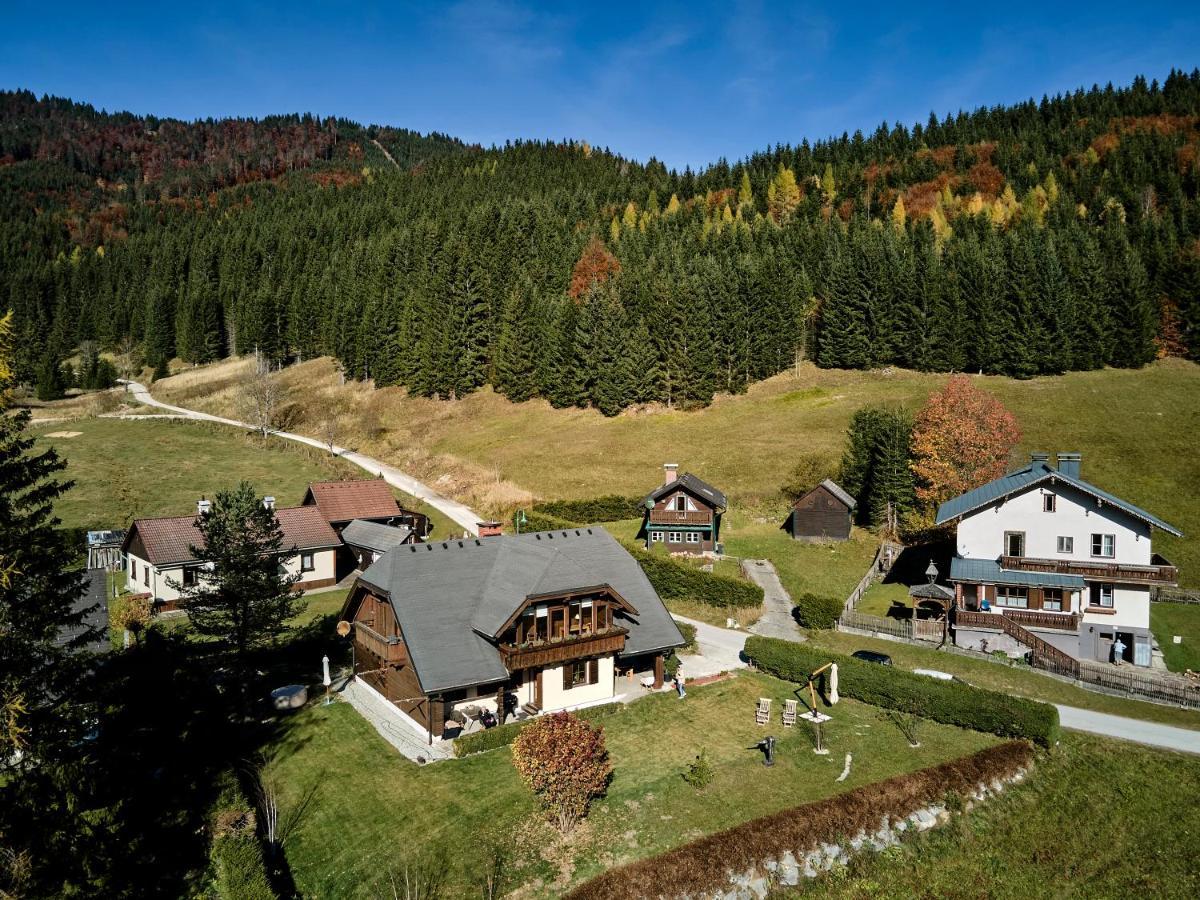 Frein Chalets - Wildalm Frein an der Murz 외부 사진