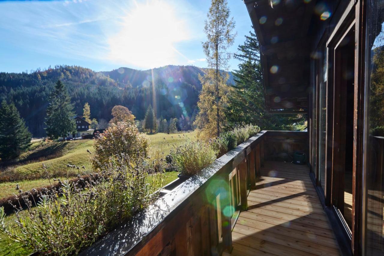 Frein Chalets - Wildalm Frein an der Murz 외부 사진