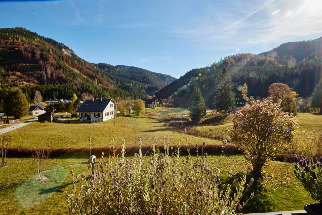 Frein Chalets - Wildalm Frein an der Murz 외부 사진