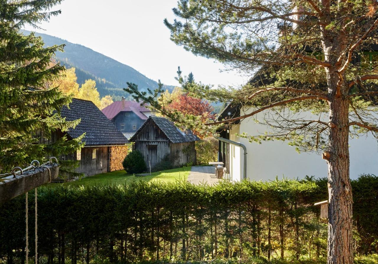 Frein Chalets - Wildalm Frein an der Murz 외부 사진