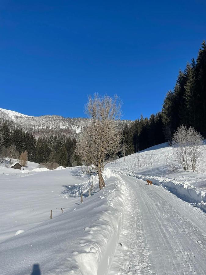 Frein Chalets - Wildalm Frein an der Murz 외부 사진