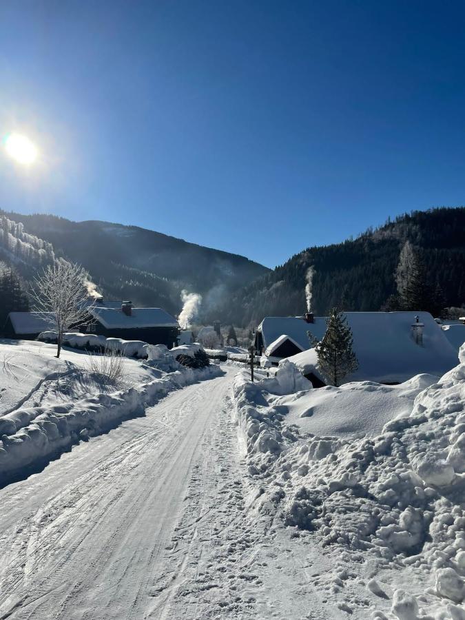 Frein Chalets - Wildalm Frein an der Murz 외부 사진