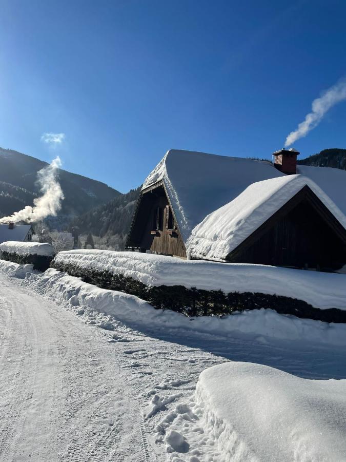 Frein Chalets - Wildalm Frein an der Murz 외부 사진