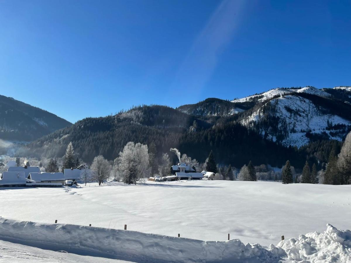 Frein Chalets - Wildalm Frein an der Murz 외부 사진