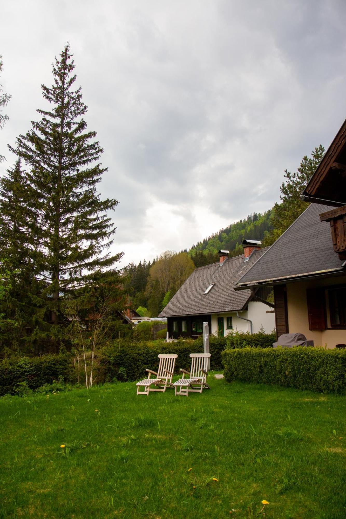 Frein Chalets - Wildalm Frein an der Murz 외부 사진