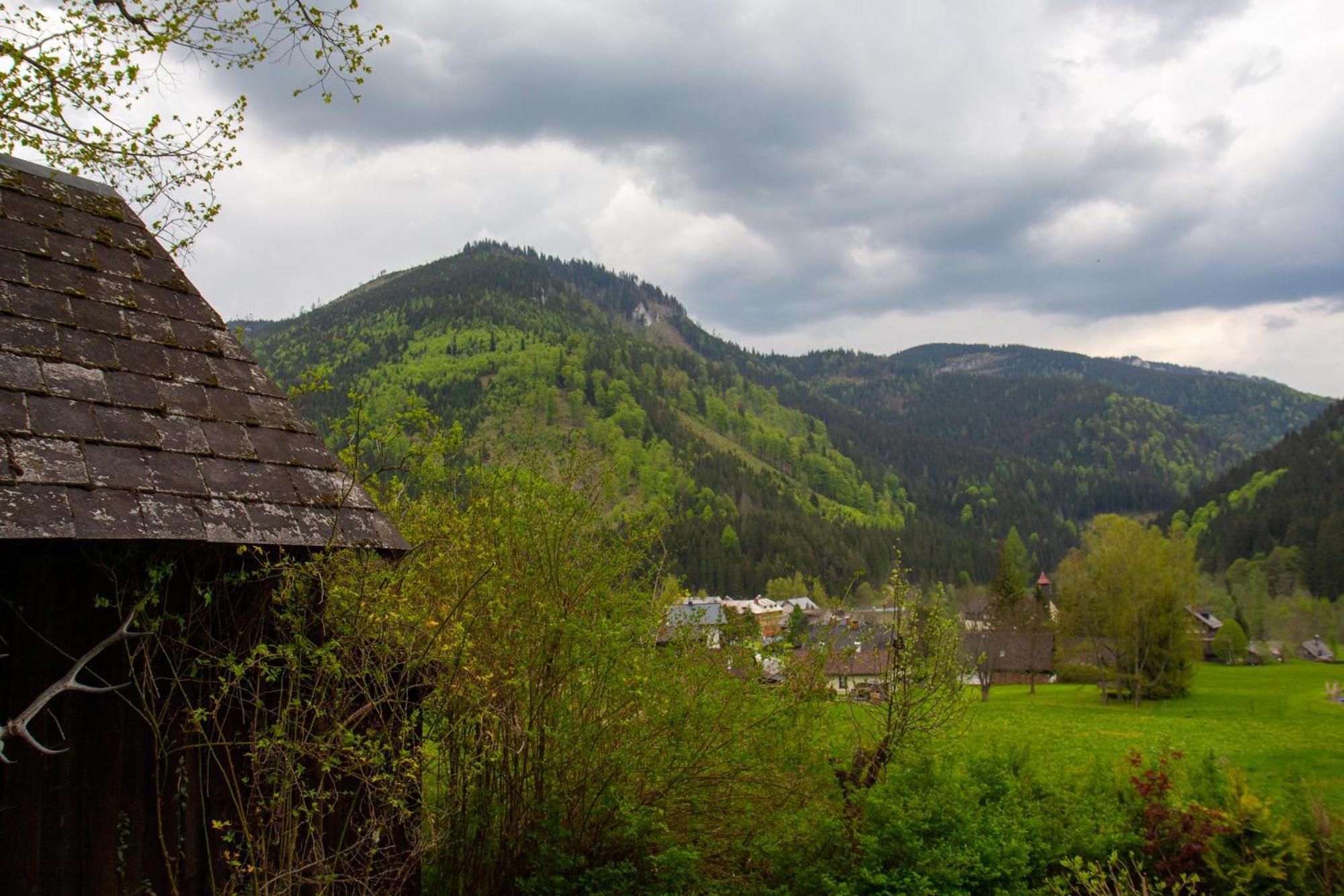 Frein Chalets - Wildalm Frein an der Murz 외부 사진